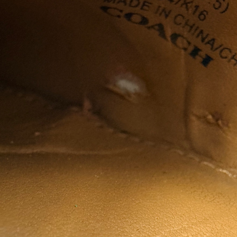 Coach Lauri Pointed Toe Pumps - Picture 8 of 11